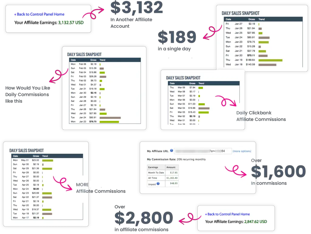 SyndBuddy 2.0 Review