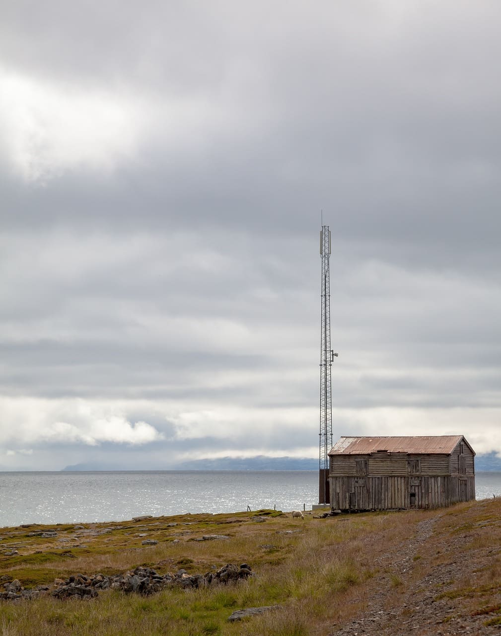 The Importance Of Link Building For Local Events