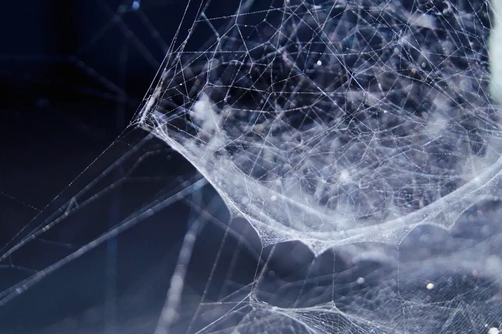 Link Building Tools: The Importance Of Link Quality Vs. Quantity Link Building Tools: The Importance Of Link Quality Vs. Quantity